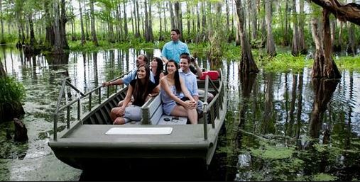 Swamp Tours in Georgia