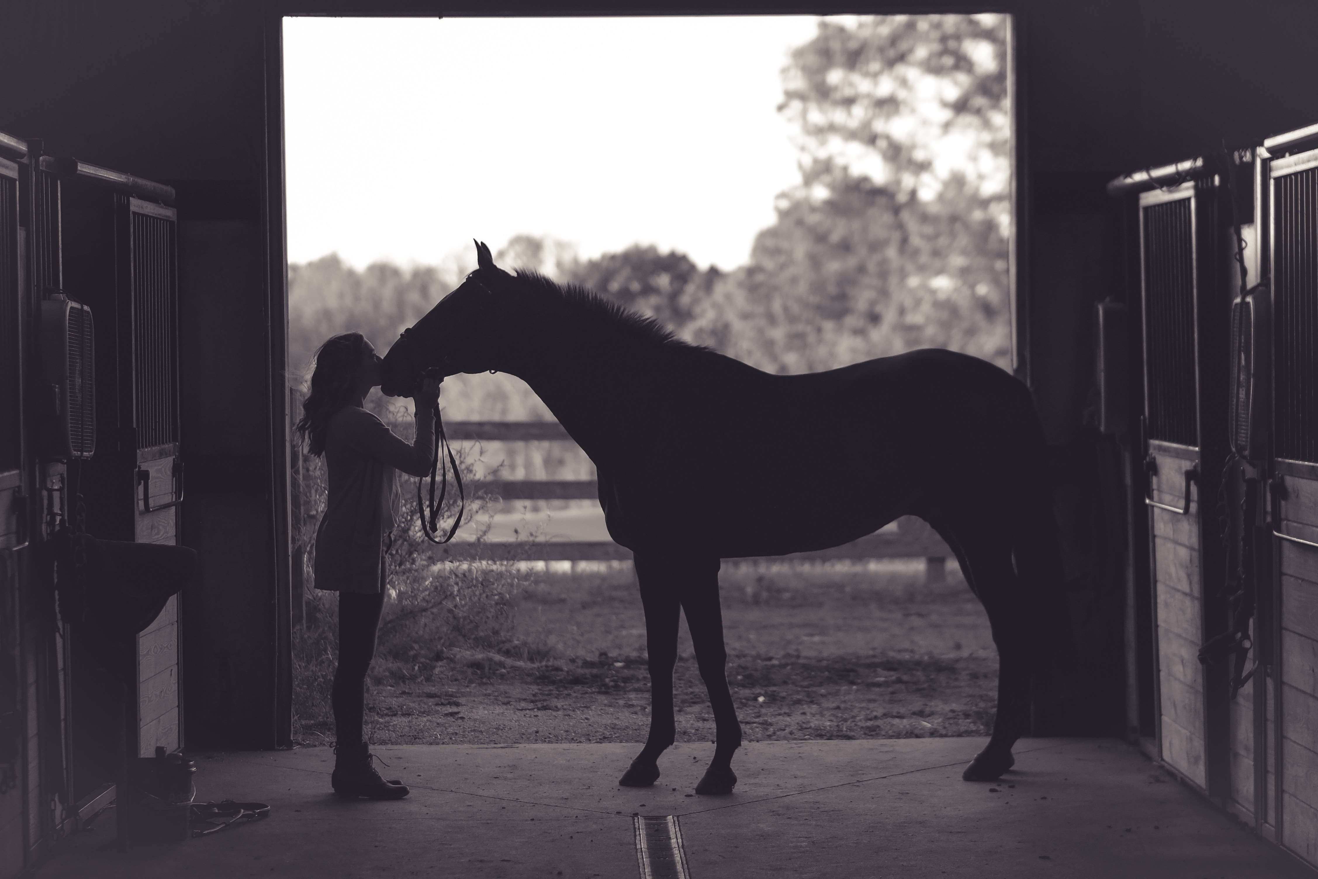 Yee-haw! 10+ Places To Ride Horses In Atlanta