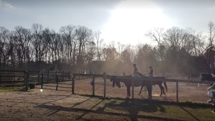 Trail rides near Atlanta - Best places to ride horses in Atlanta - Go with it Farm