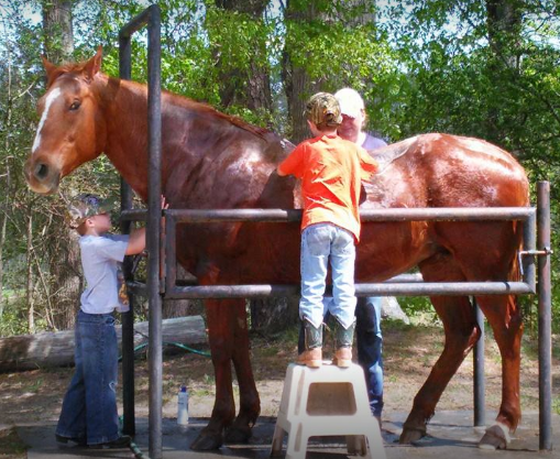 Best places to ride horses in Atlanta - Philips Farm Stables