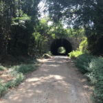 Atlanta Beltline Southside Trail The Atlanta Beltline Southside Trail recently opened on an interim basis. The gravel pathway bridges the Eastside Trail with the Westside. While the trail is a bit wild, it's a wonderful look at the unvarnished beauty of Atlanta.