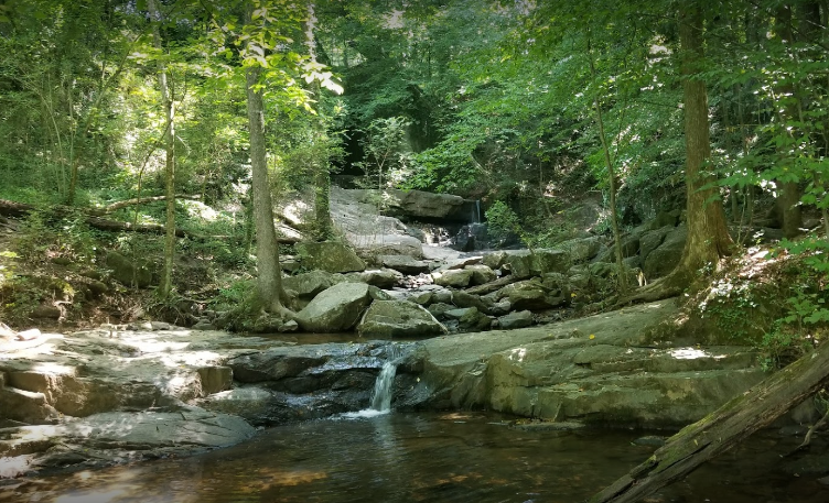 Cascade Springs Nature Preserve: Best Kept secrets in Atlanta