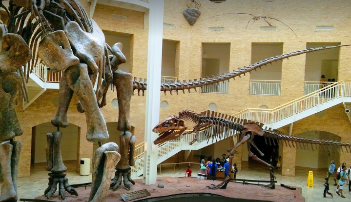 Things to do in Atlanta with kids: Fernbank Museum