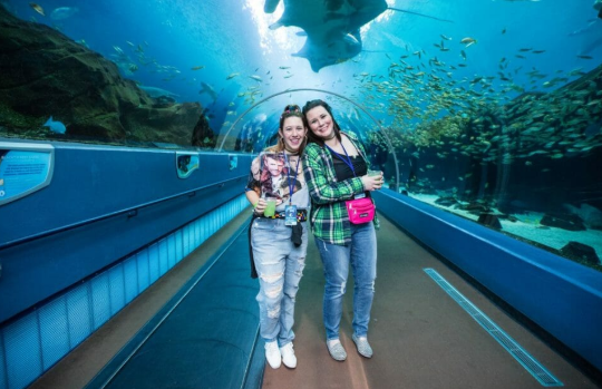 Things to do this weekend - Georgia Aquarium