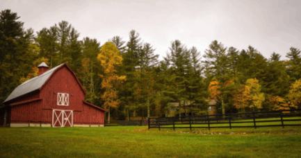 best farms near Atlanta, Georgia