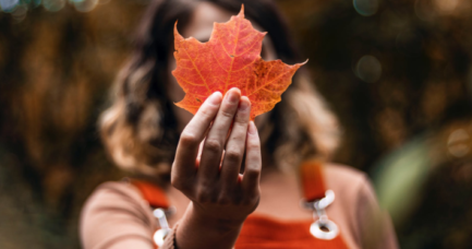 Atlanta Thanksgivng Travel guide - Fall Clothes That Every Atlantan Will Need This Autumn