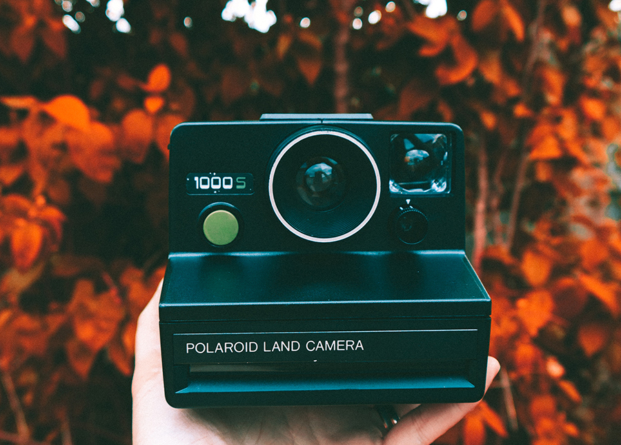 10 Of The Best Places To Take Instagram Photos In Atlanta