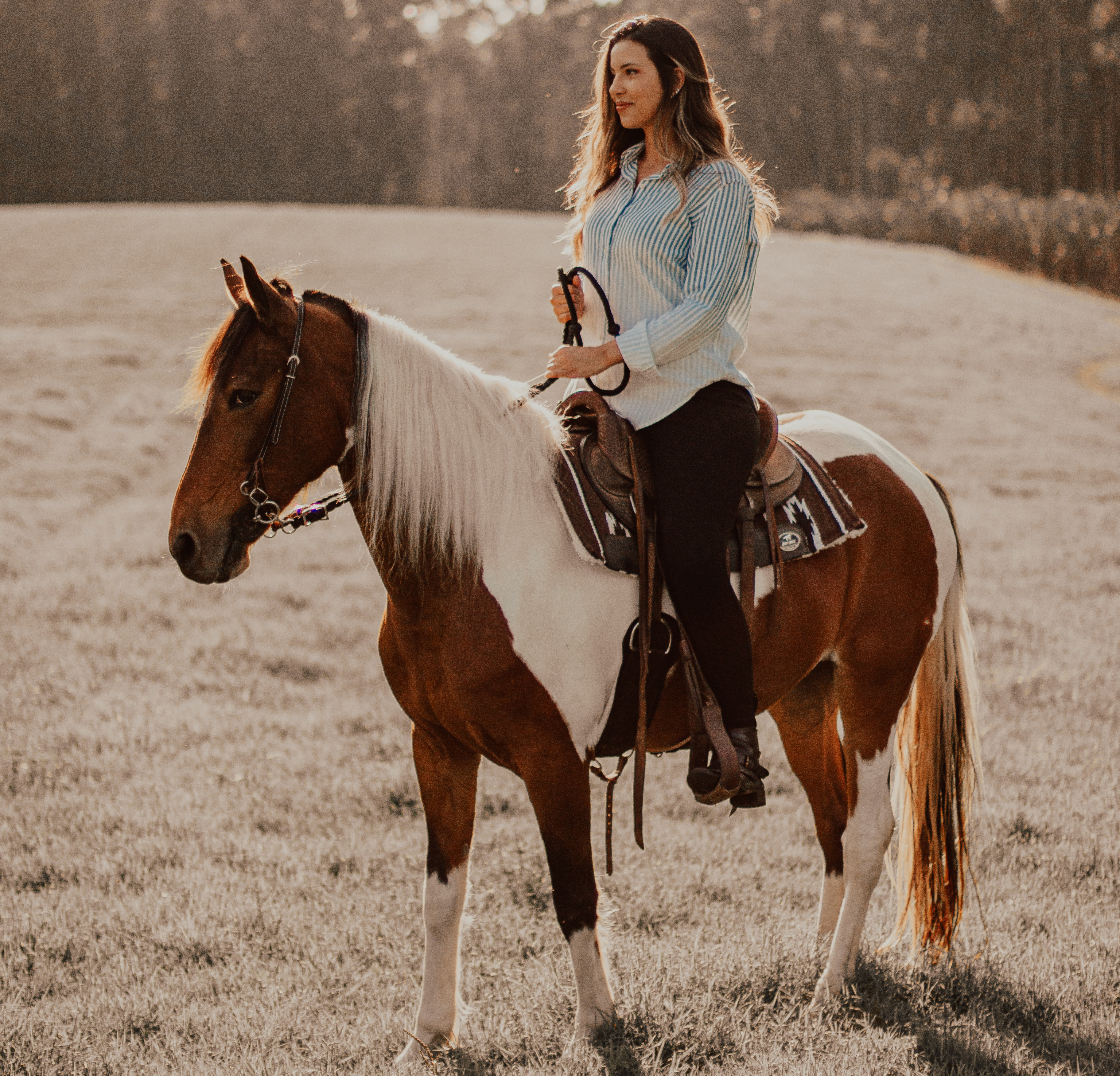 best places to ride horses in Georgia and Atlanta