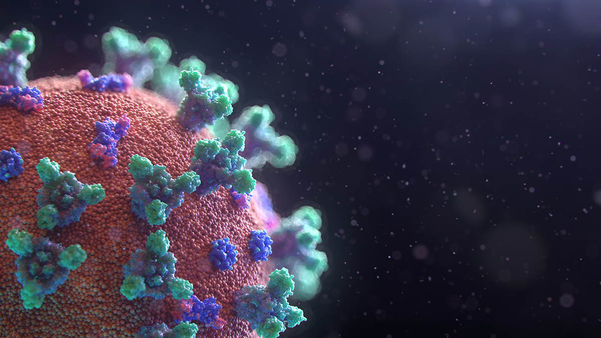 coronavirus: 5 things to know
