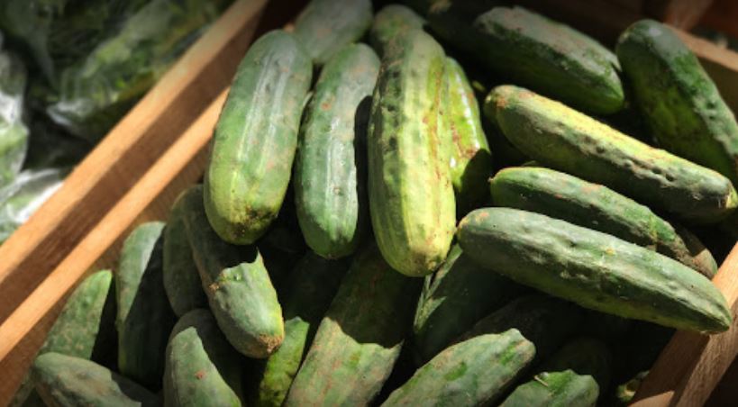 cucumbers at the farmers market