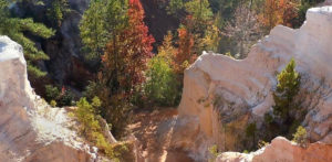 Everything To Know About Georgia's Providence Canyon