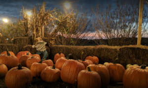 Best Georgia pumpkin patches near Atlanta