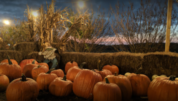 Best Georgia pumpkin patches near Atlanta