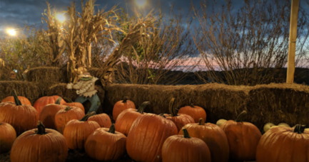 Best Georgia pumpkin patches near Atlanta