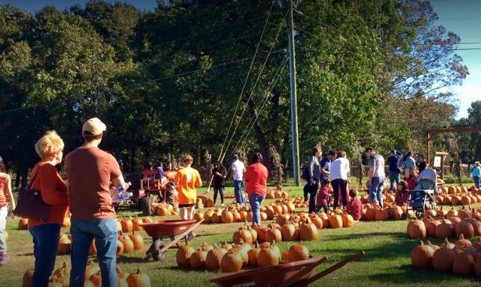 Warbington pumpkin patch is the best in Georgia