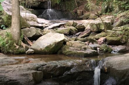Cascade Springs Nature Preserve in Atlanta