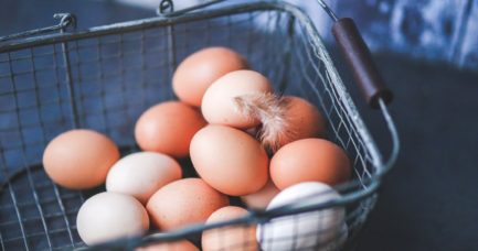 buy fresh farm eggs in Atlanta