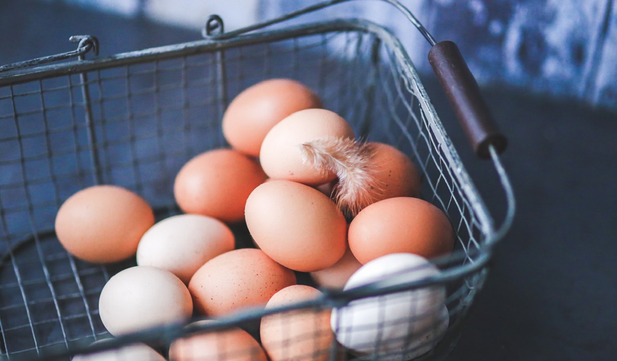 buy fresh farm eggs in Atlanta