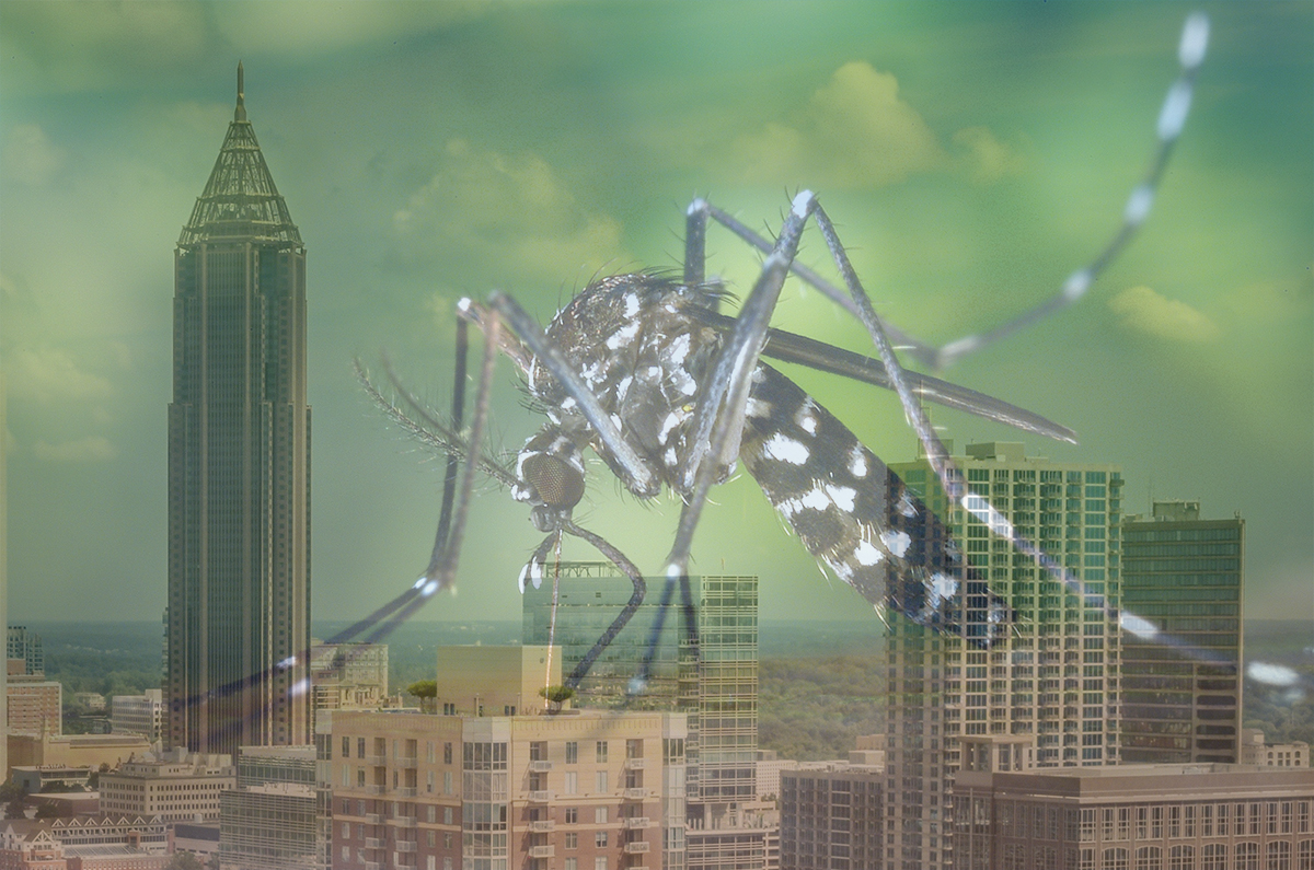 How to kill mosquitoes in Atlanta, Georgia