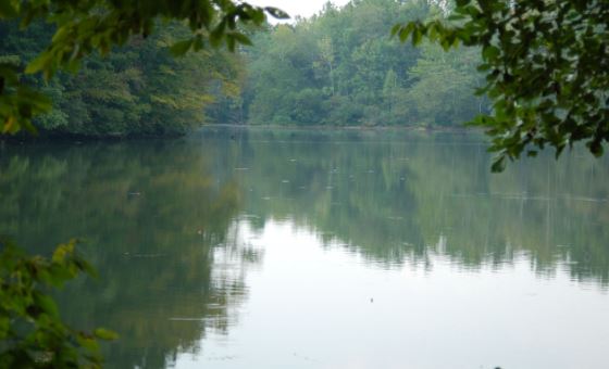 Lake Bull Sluice