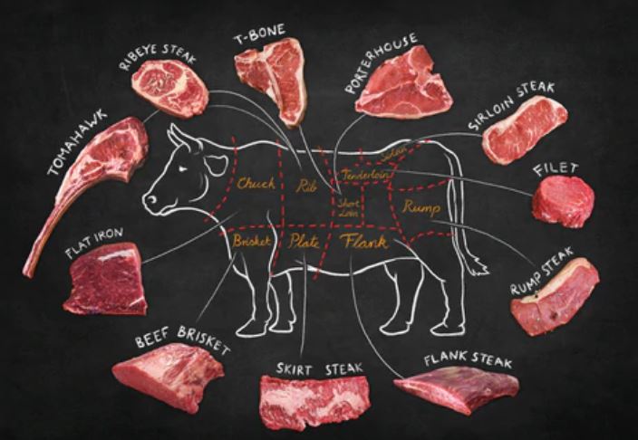 choice steak cuts of beef on a cow