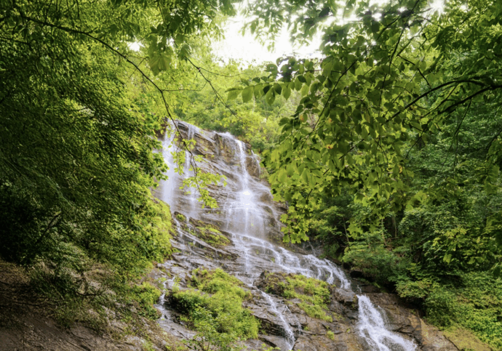 Amicalola Falls State Park