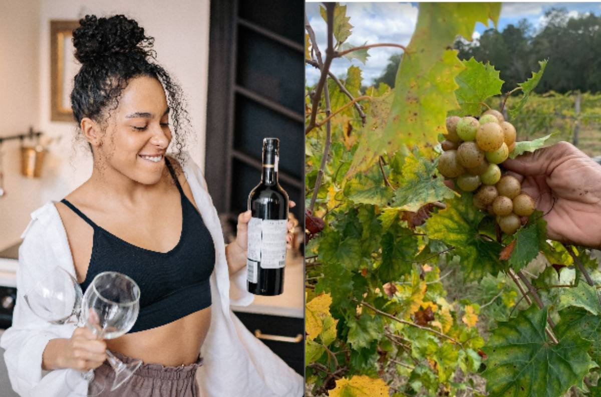 best black-owned winery in the South including Georgia and Atlanta