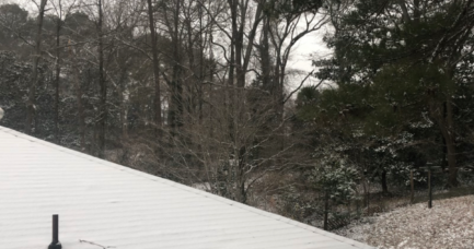 snow day in Atlanta