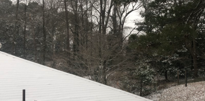 snow day in Atlanta