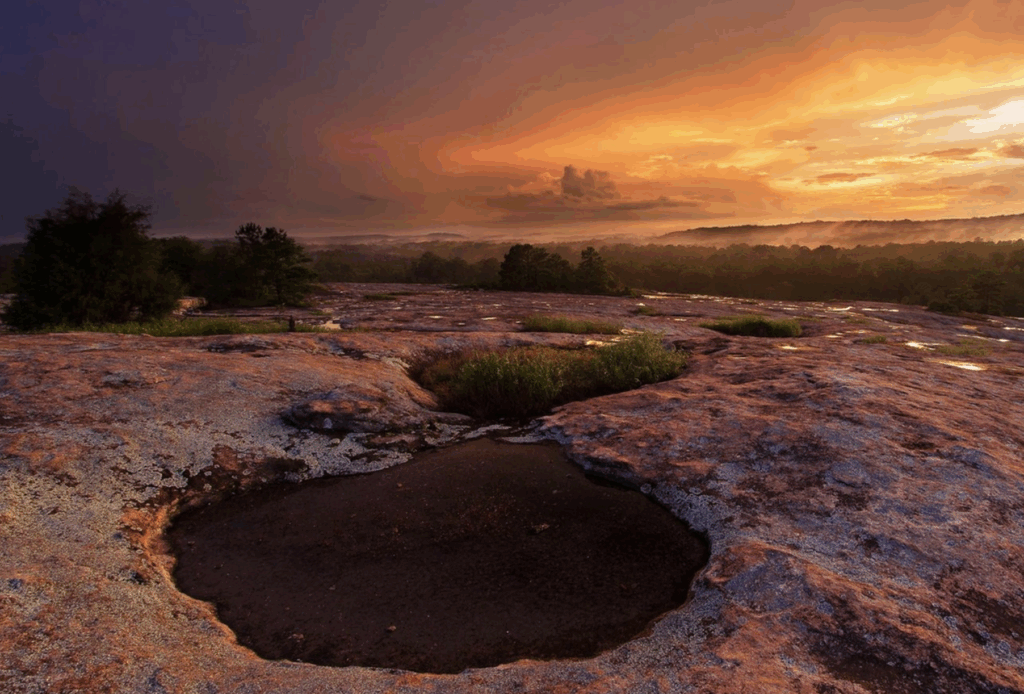 Hike Arabian Mountain