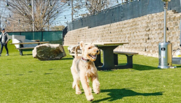 Skiptown Atlanta dog park in Atlanta