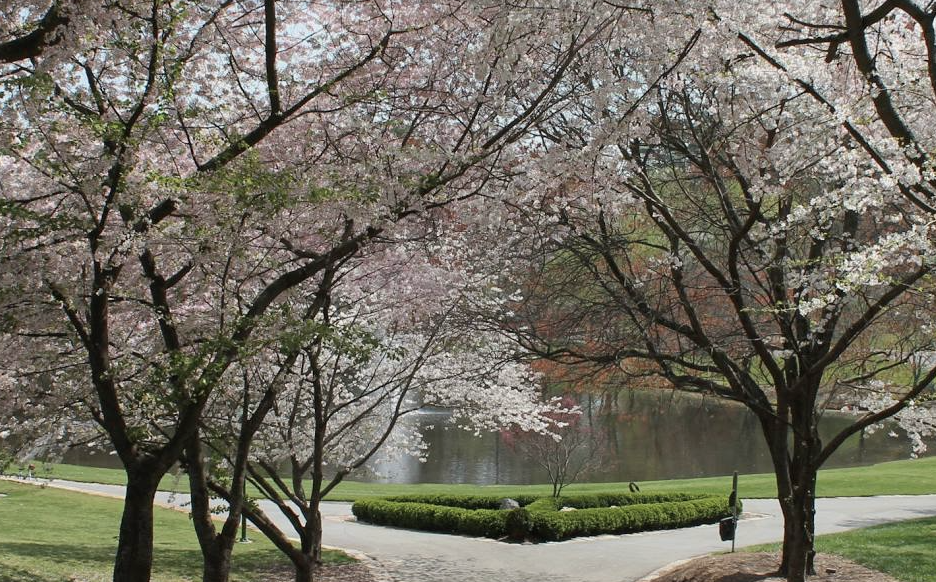 Lenox Park is the best free park in Atlanta.