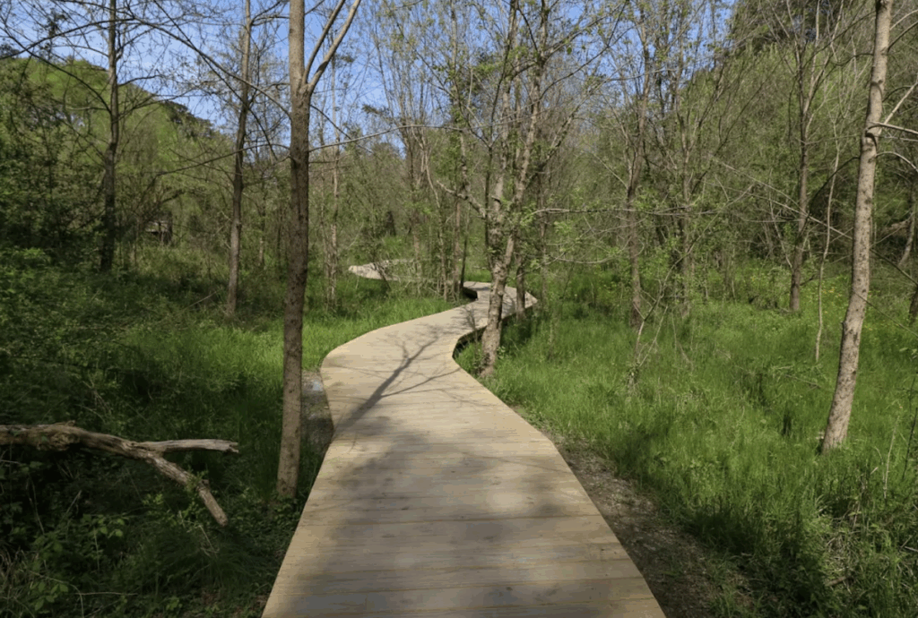 Blue Heron Nature Preserve is a free park in Atlanta.