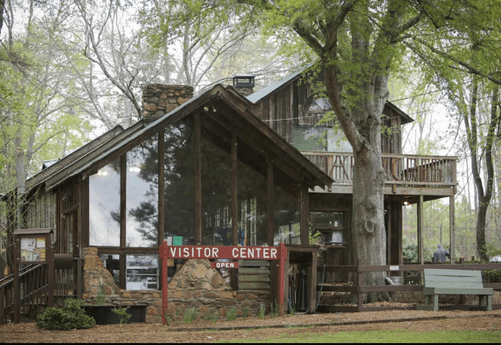 Hike Autrey Mill Nature Preserve in Johns Creek