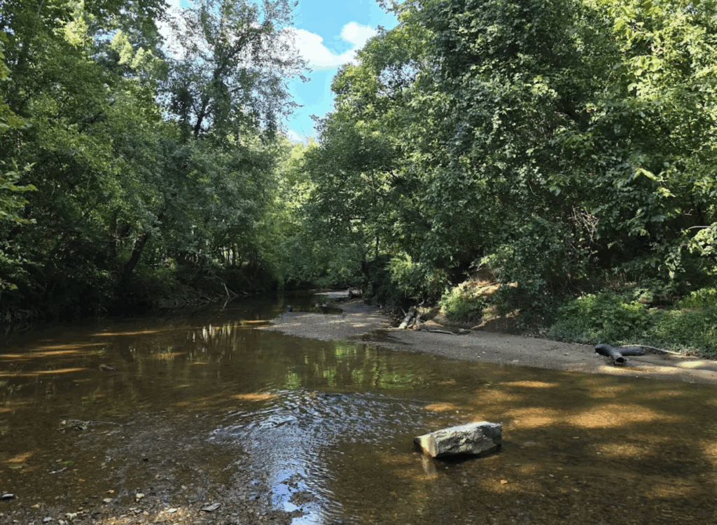 Big Creek Greenway in Alpharetta