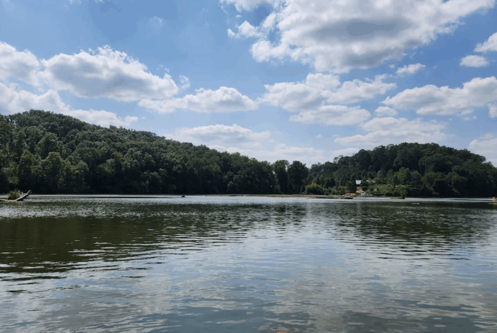 Morgan Falls Overlook Park in Sandy Springs