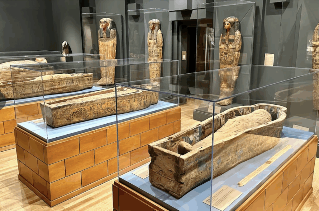 Michael C. Carlos Museum at Emory University