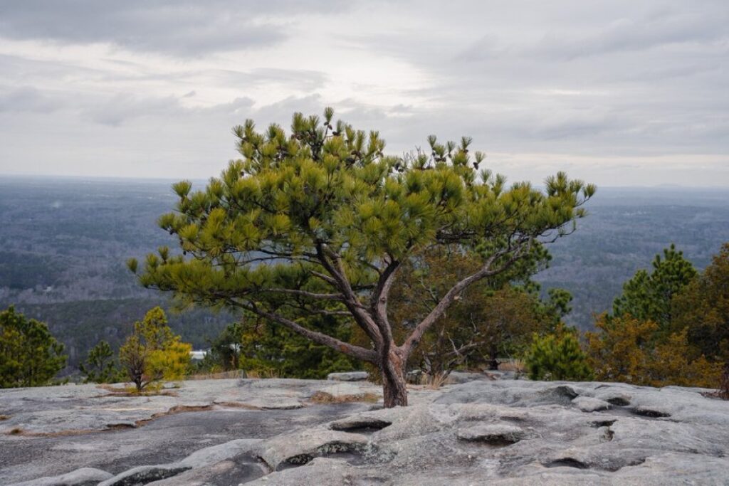 KKK rebirth on Stone Mountain