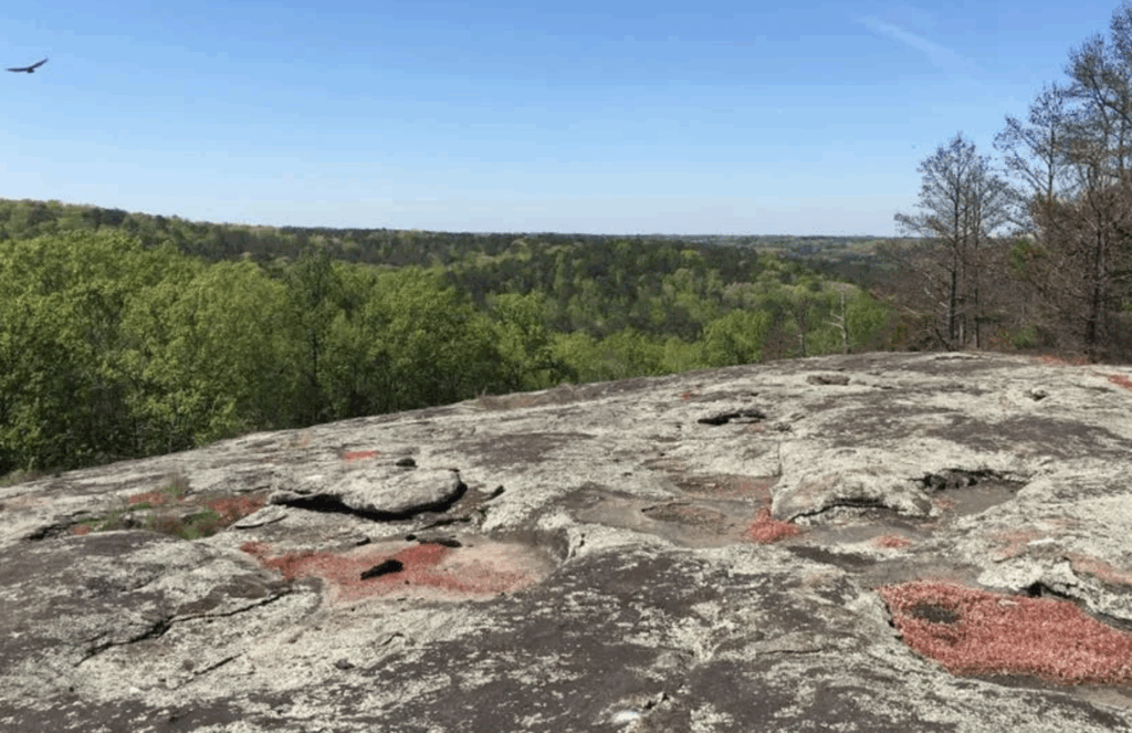 Panola Mountain State Park