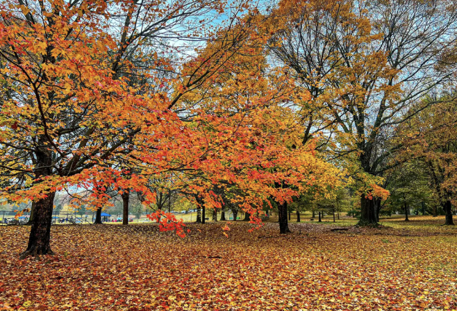 Glenwood Park, Atlanta