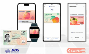 Georgia drivers license