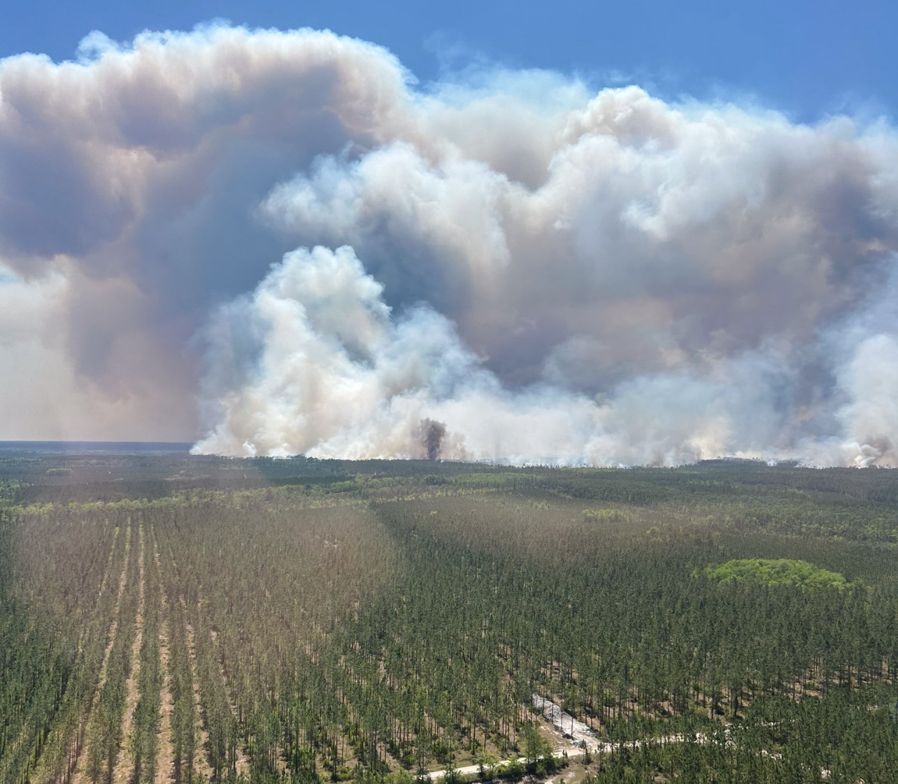 Georgia wildfires update