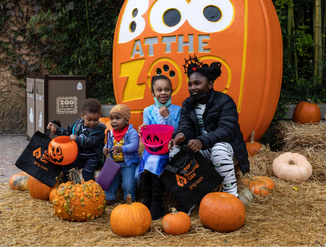 Boo at the zoo